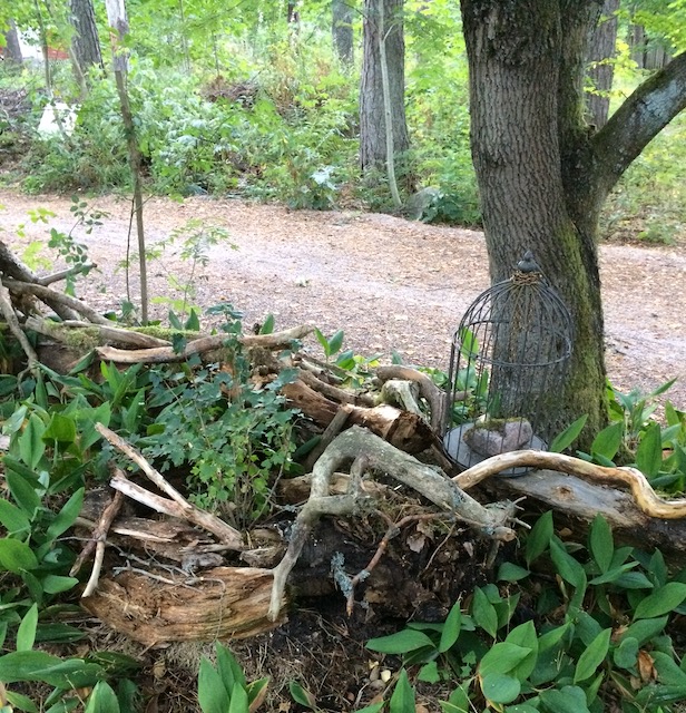 Kuva hiekkapolusta luonnon keskellä