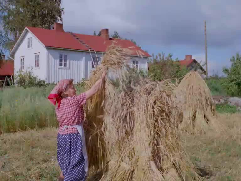 Kuva elokuvasta Hauho - Sydän-Hämeen rintapitäjä
