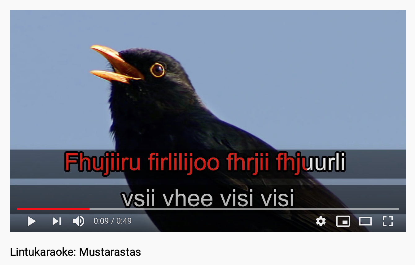 Kuvakaappaus Lintukaraoke-videosta Mustarastas